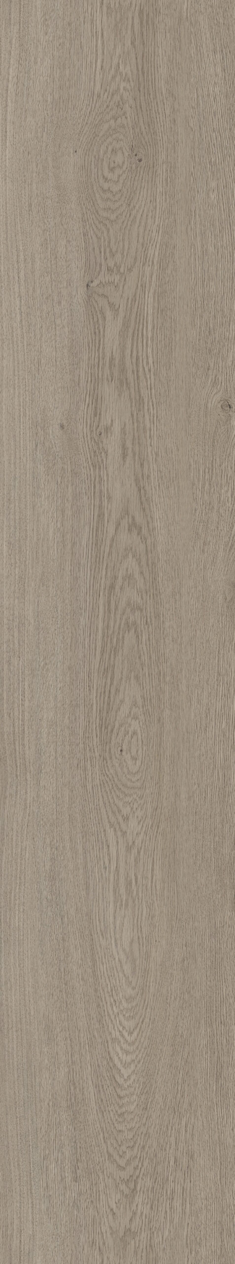 24001 Toledo Oak Limewashed
