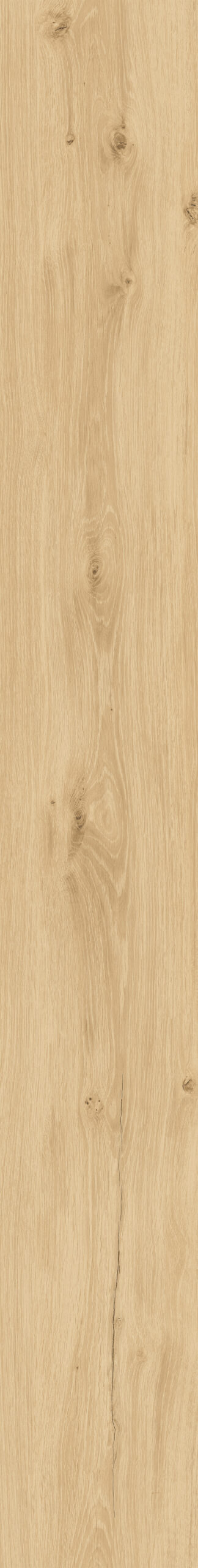 590-7_Royal_Oak_Light_6